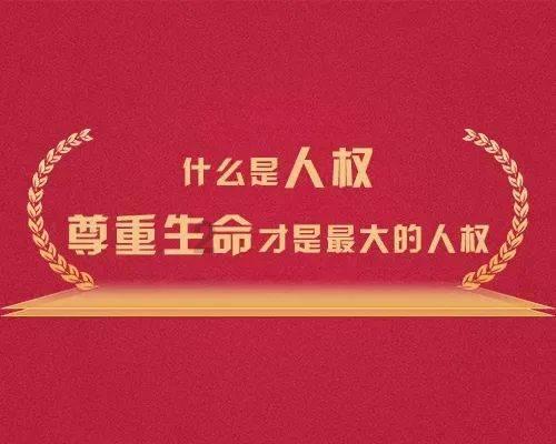 进击的飞机